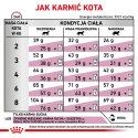 ROYAL CANIN Renal Feline 4kg Royal Canin weterynaria
