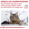 ROYAL CANIN Renal Feline 4kg Royal Canin weterynaria