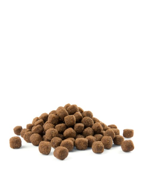 Versele-Laga Opti Life Adult Medium Z Kurczakiem I Ryżem 12,5kg Versele-Laga