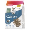 BEAPHAR Care+ Rabbit Junior Karma Super Premium Dla Młodych Królików 1,5kg BEAPHAR