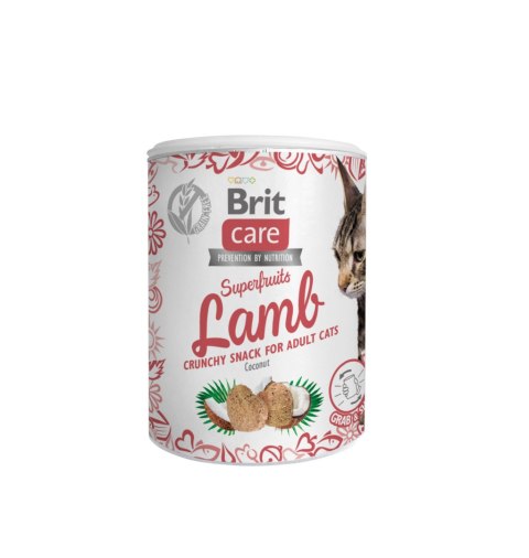 Brit Care Cat Snack Superfruits Lamb 100g Brit