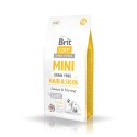 Brit Care Mini Grain-Free Hair & Skin 400g Brit