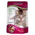 CERTECH-SUPER BENEK Junior Cats Z Indykiem 100g Certech-Super Benek