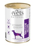 Dolina Noteci 4Vets Gastro Intestinal Dla Psów 400g 4Vets Natural
