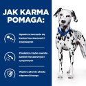 Hill's PD Prescription Diet Canine u/d Urinary Care 10kg Hills