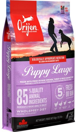 Orijen Dog Puppy Large 6kg Orijen