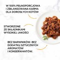 Purina Gourmet Gold kaczka/indyk w sosie 85g Gourmet