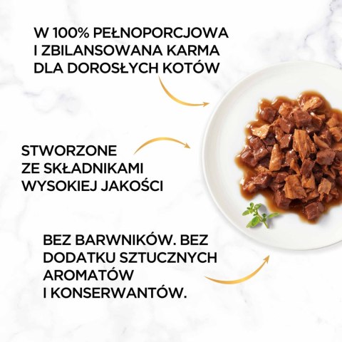 Purina Gourmet Gold kaczka/indyk w sosie 85g Gourmet