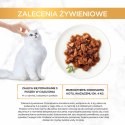 Purina Gourmet Gold kaczka/indyk w sosie 85g Gourmet