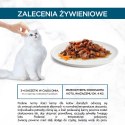 Purina Gourmet Perle Karma dla kotów mini fileciki w sosie z wołowiną i marchewką 85 g Gourmet