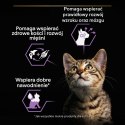 Purina Pro Plan Kitten Nutrisavour Indyk 85g Purina Pro Plan