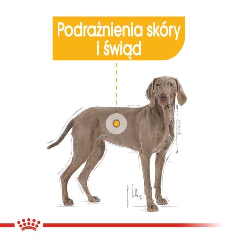 ROYAL CANIN CCN Maxi Dermacomfort 12kg Royal Canin