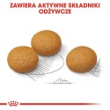 ROYAL CANIN CCN Maxi Dermacomfort 12kg Royal Canin
