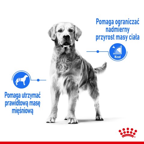 ROYAL CANIN CCN Maxi Light Weight Care 12kg Royal Canin