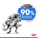 ROYAL CANIN CCN Maxi Light Weight Care 12kg Royal Canin