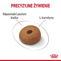ROYAL CANIN CCN Maxi Light Weight Care 12kg Royal Canin