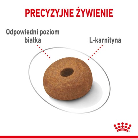 ROYAL CANIN CCN Maxi Light Weight Care 12kg Royal Canin