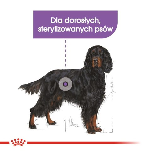 ROYAL CANIN CCN Maxi Sterilised 12kg Royal Canin