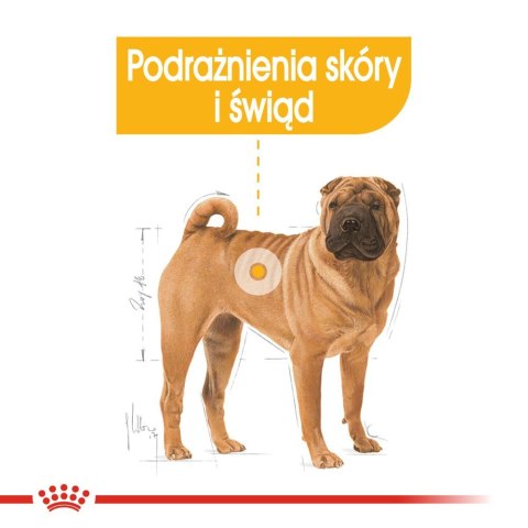 ROYAL CANIN CCN Medium Dermacomfort 12kg Royal Canin