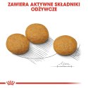 ROYAL CANIN CCN Medium Dermacomfort 12kg Royal Canin