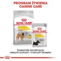 ROYAL CANIN CCN Medium Dermacomfort 12kg Royal Canin