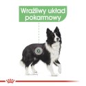 ROYAL CANIN CCN Medium Digestive Care 12kg Royal Canin