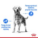 ROYAL CANIN CCN Medium Light Weight Care 12kg Royal Canin