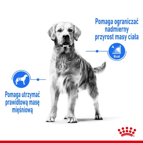 ROYAL CANIN CCN Medium Light Weight Care 12kg Royal Canin