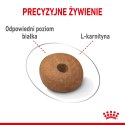 ROYAL CANIN CCN Medium Light Weight Care 12kg Royal Canin