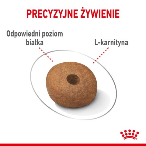 ROYAL CANIN CCN Medium Light Weight Care 12kg Royal Canin