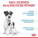 ROYAL CANIN Mini Starter Mother & Babydog 8kg Royal Canin