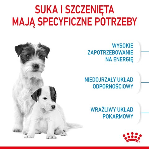 ROYAL CANIN Mini Starter Mother & Babydog 8kg Royal Canin