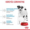 ROYAL CANIN Mini Starter Mother & Babydog 8kg Royal Canin