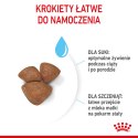 ROYAL CANIN Mini Starter Mother & Babydog 8kg Royal Canin