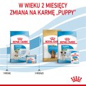 ROYAL CANIN Mini Starter Mother & Babydog 8kg Royal Canin