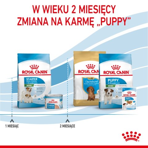 ROYAL CANIN Mini Starter Mother & Babydog 8kg Royal Canin