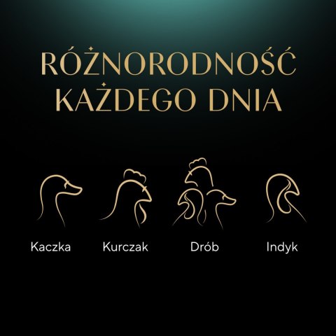 Sheba Delicacy Drobiowe Smaki W Galaretce, Z Kaczką, Z Kurczakiem, Z Drobiem, Z Indykiem 80x85g Sheba