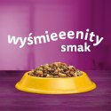 WHISKAS Sterile 1,4kg - sucha karma dla kotów po sterylizacji z kurczakiem Whiskas