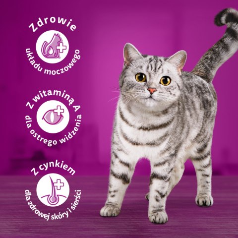 WHISKAS Sterile 1,4kg - sucha karma dla kotów po sterylizacji z kurczakiem Whiskas