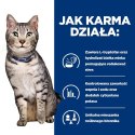 Hill's PD Prescription Diet c/d Urinary Stress + Metabolic Feline 3kg Hills