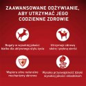 PURINA ONE Mini Active Kurczak, ryż - sucha karma dla psa - 800g PURINA ONE