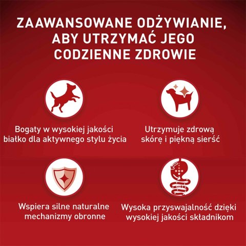 PURINA ONE Mini Active Kurczak, ryż - sucha karma dla psa - 800g PURINA ONE