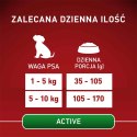 PURINA ONE Mini Active Kurczak, ryż - sucha karma dla psa - 800g PURINA ONE