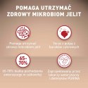 PURINA ONE Mini Adult Wołowina, ryż - sucha karma dla psa - 800g PURINA ONE