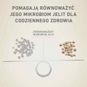 PURINA ONE Mini Adult Wołowina, ryż - sucha karma dla psa - 800g PURINA ONE