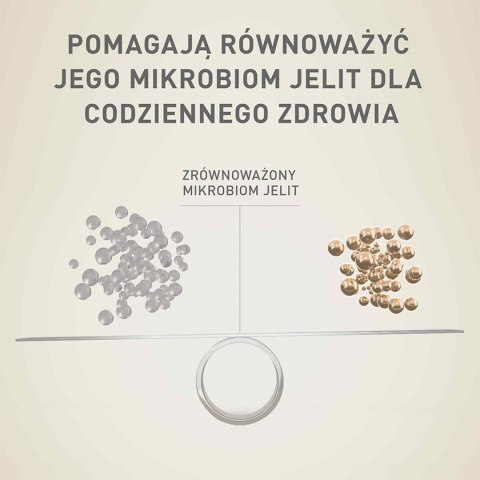 PURINA ONE Mini Adult Wołowina, ryż - sucha karma dla psa - 800g PURINA ONE