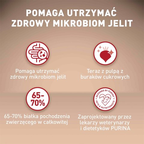 PURINA ONE Mini Delicate Łosoś, ryż - sucha karma dla psa - 800 g PURINA ONE