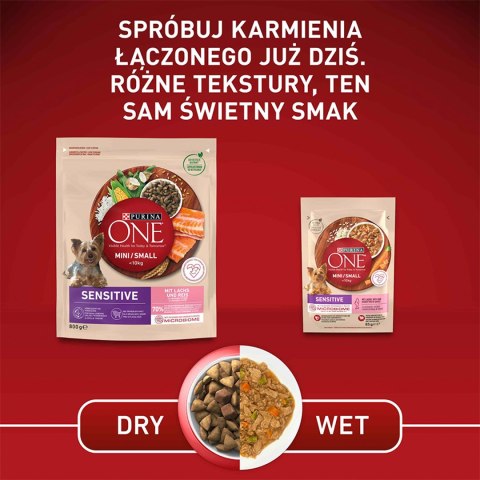 PURINA ONE Mini Delicate Łosoś, ryż - sucha karma dla psa - 800 g PURINA ONE