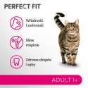 Perfect Fit™ - sucha karma pełnoporcjowa dla dorosłych kotów, bogata w wołowinę 7kg Perfect Fit