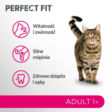 Perfect Fit™ - sucha karma pełnoporcjowa dla dorosłych kotów, bogata w wołowinę 7kg Perfect Fit